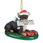 Dog Annual Ornament ChiBT 6428 0894 a main