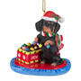 Dog Annual Ornament DachsBT 6428 0910 a main